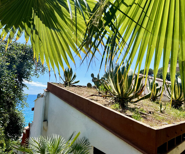Wake up to the sea, Cala Canyelles · Costa Brava