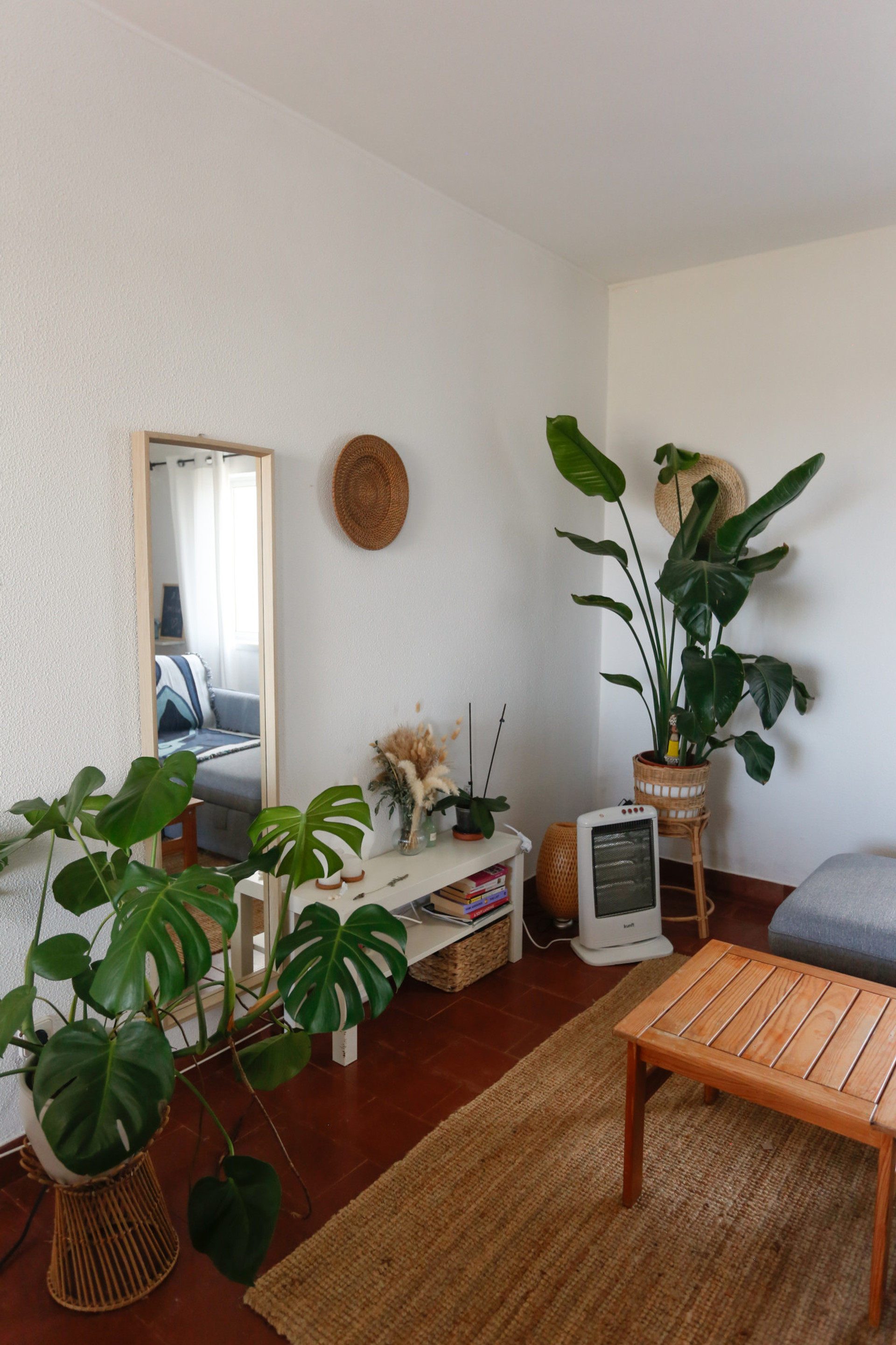 plants and chill space