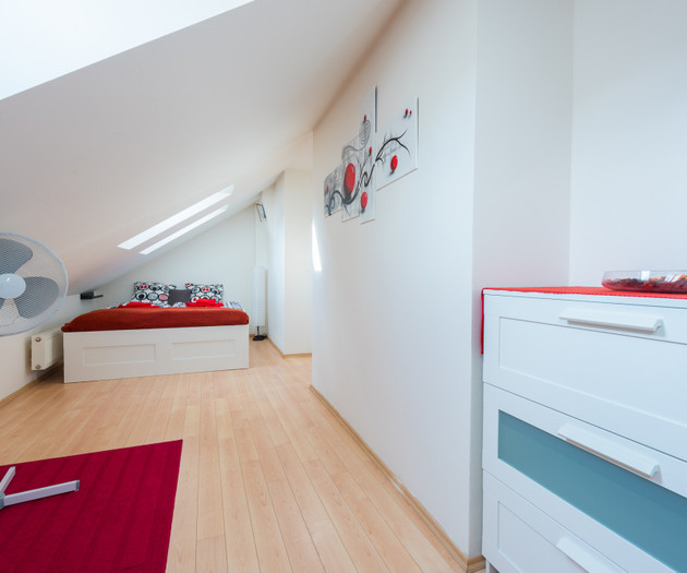 ROOF APARTMENT with TERRACE near WENCESLAS Sq.