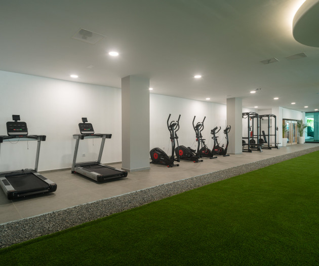 Gym treadmills and ellipticals