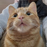 karen h.'s avatar