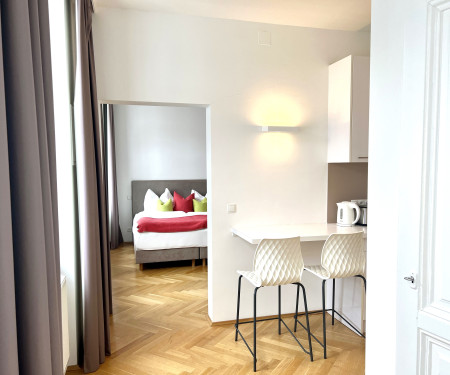Fully equipped Vienna Flair Apartment Basic KST/49