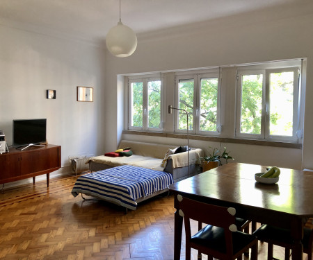 Wonderful and sunny 1 BR flat