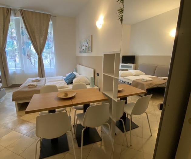 Wohnung 1+kk Nummer 15, Nové Město, Legerova