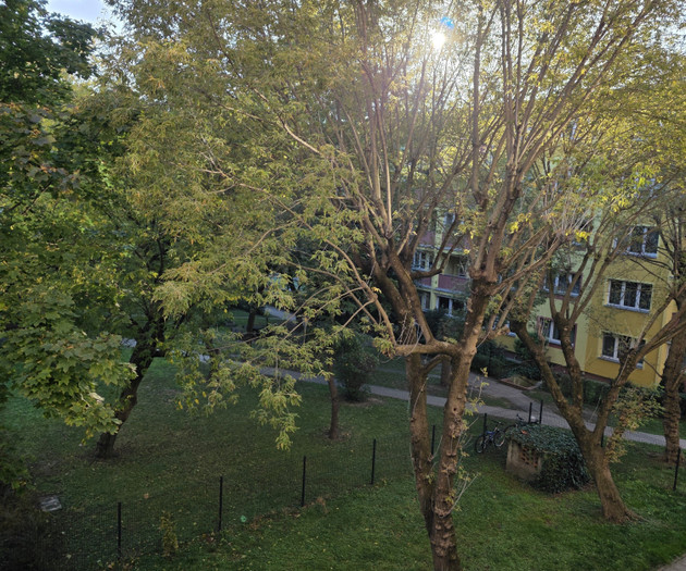 Garden view with trees