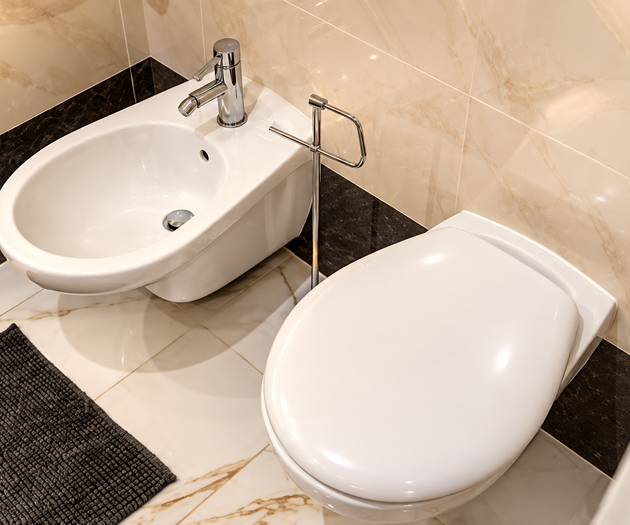 Hound Deluxe Suite | Historic Vysehrad Luxury
