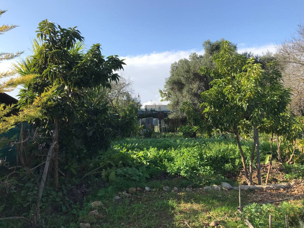 Jardín
