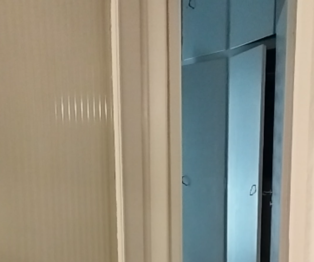 Hallway closet doors