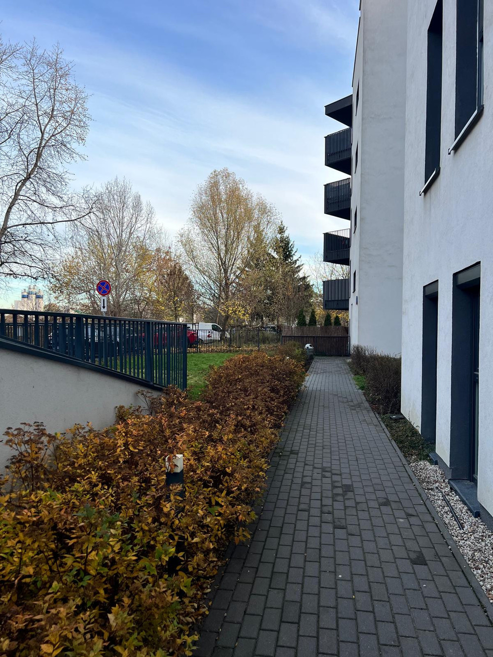 Image #17