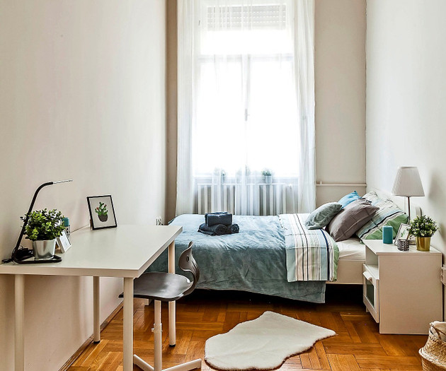 Bright 18 m2 Room in Central Budapest
