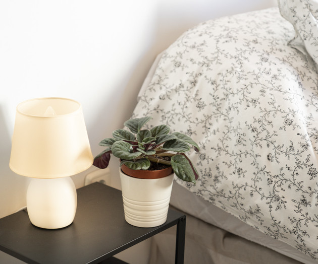 Apartamento con Terraza Albaycin