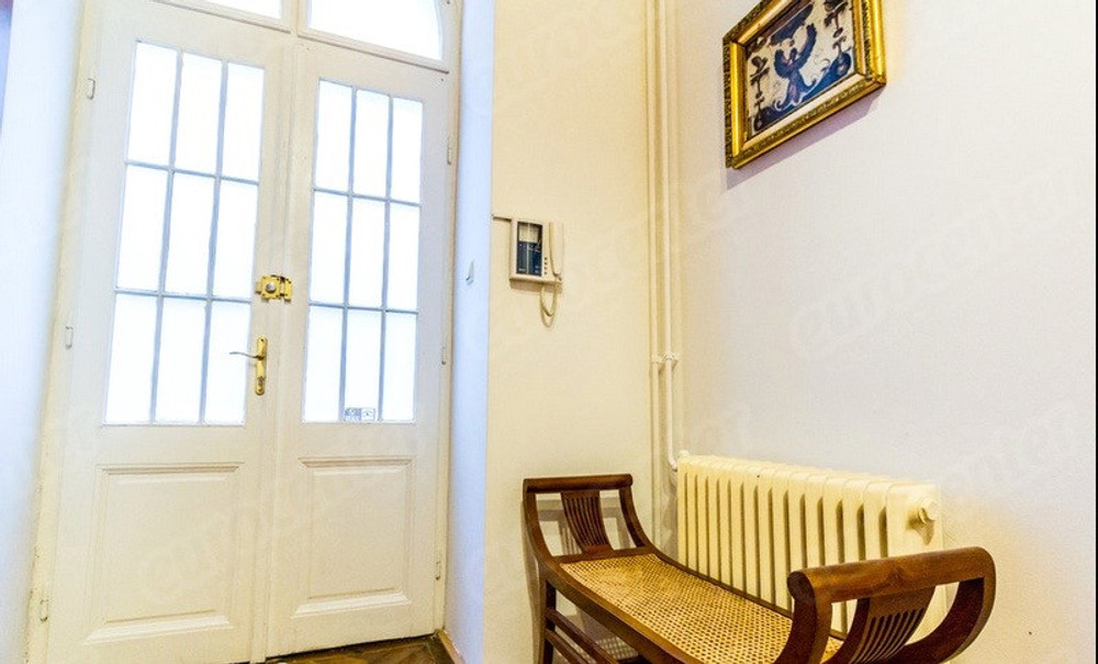 Palace apartment on Andrassy Avenue
