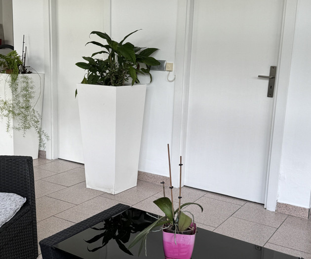 Casa da Estrelícia: Tranquility in the City & Priv
