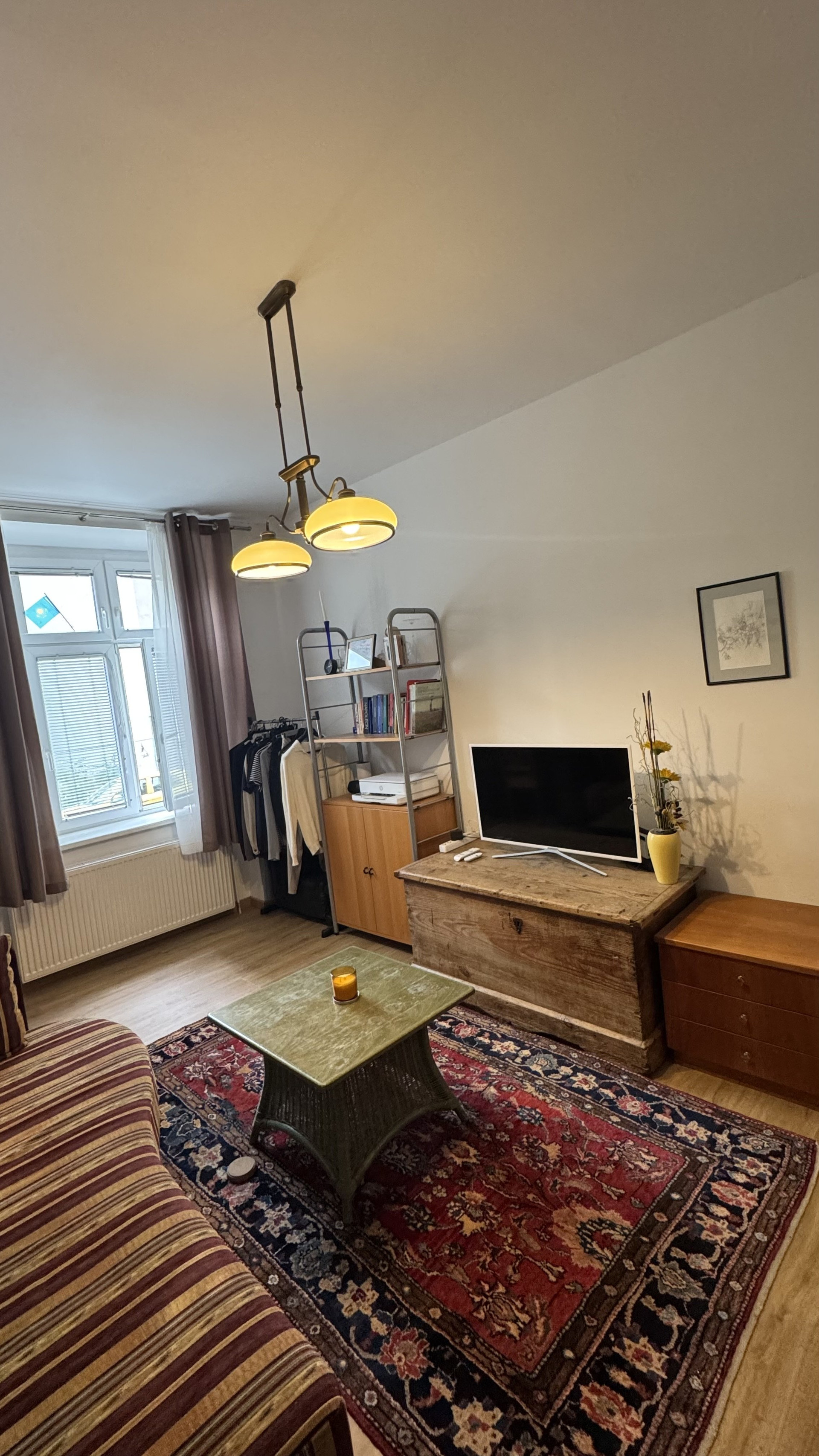 Living room with TV and rug