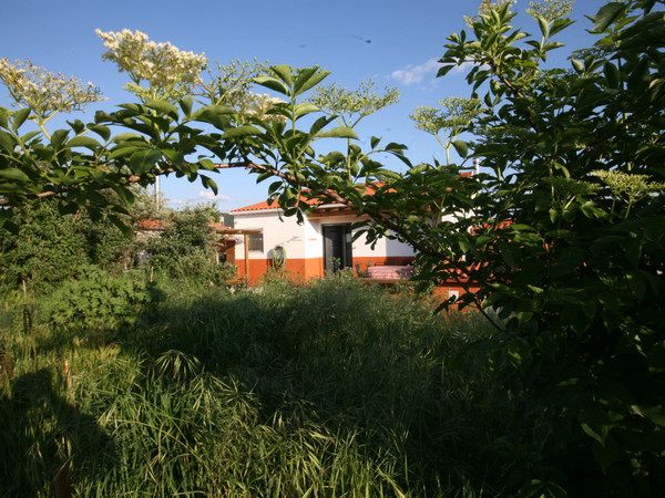Jardín
