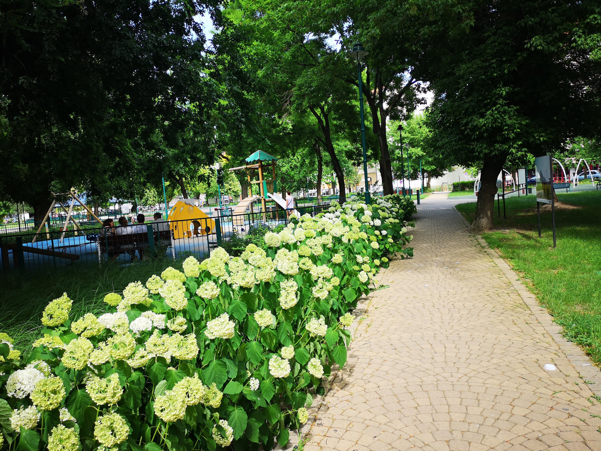 Ferenc square
