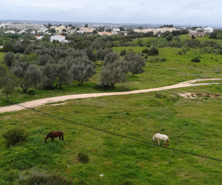 wonderful view over the landscape