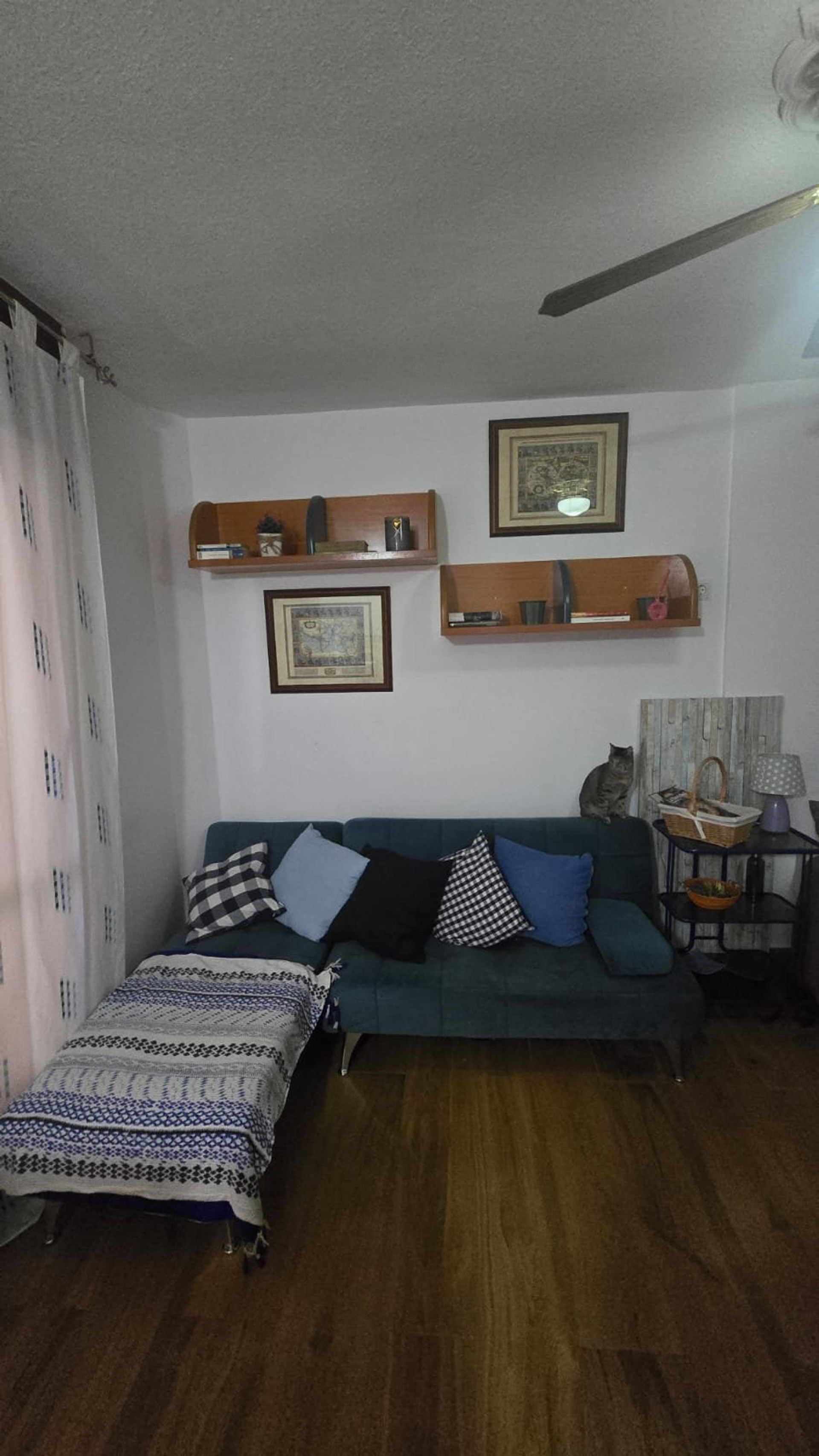 Living room with blue sofa