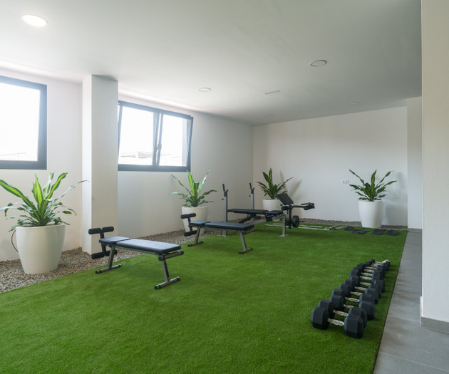 Gym plants and free weights