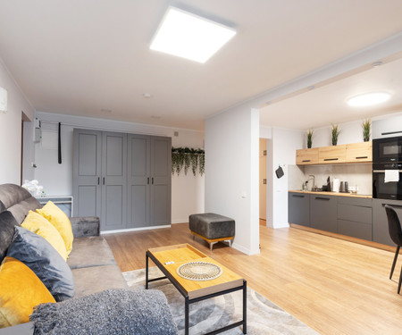 Newly Refurbished Lukiskiu Square Apartment