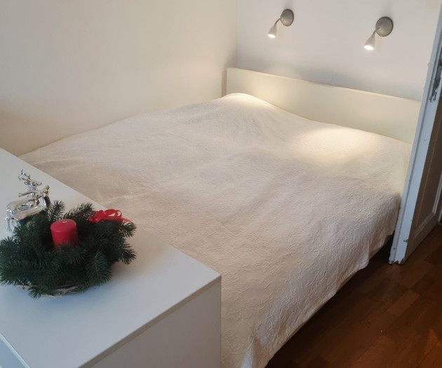 Furnished Flat in Buda, Danube & Parliament View
