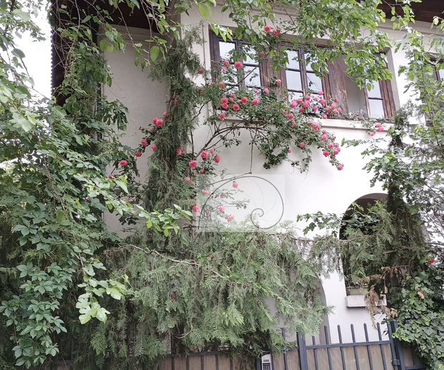 Elegant Duplex in Villa • Central Bucharest