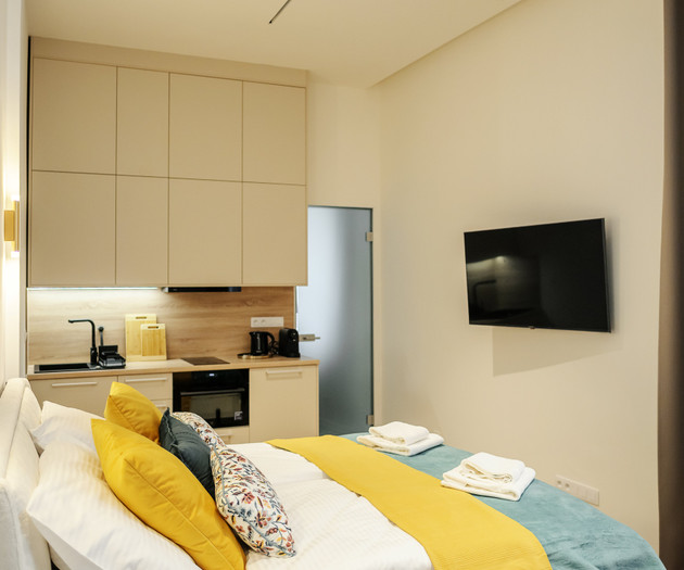 Designer Apartment in the Heart of Brno , 1+kk