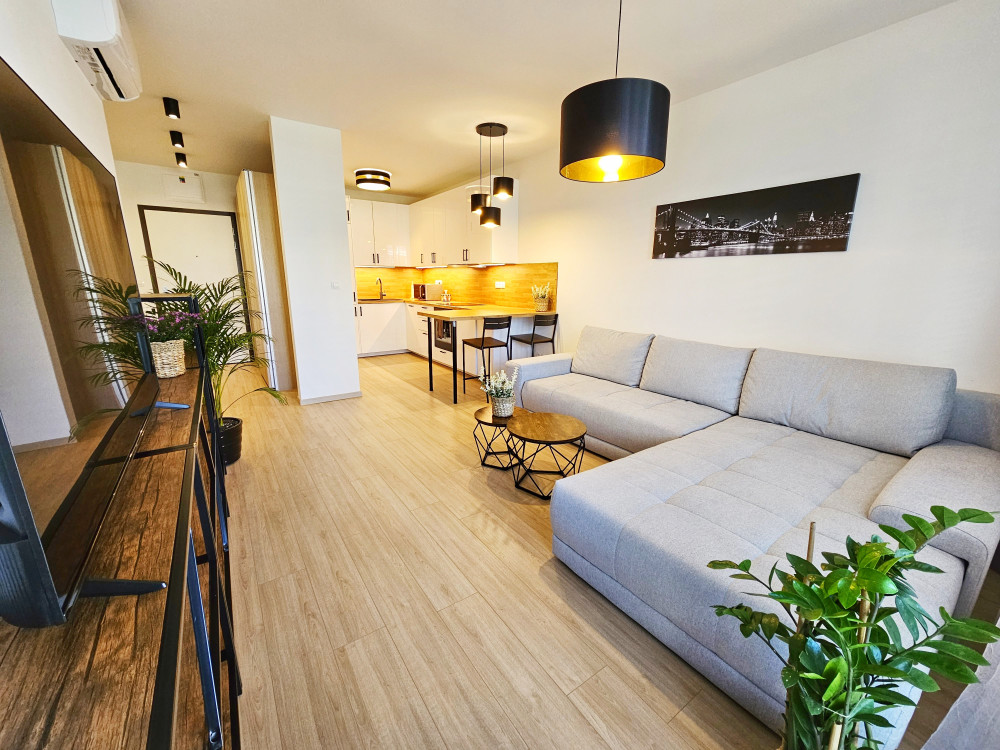 1 bedroom Apartment with terrace, new building preview