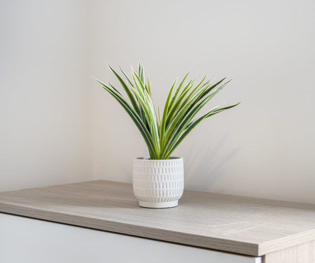 Beamish 3‑Bed Family Home