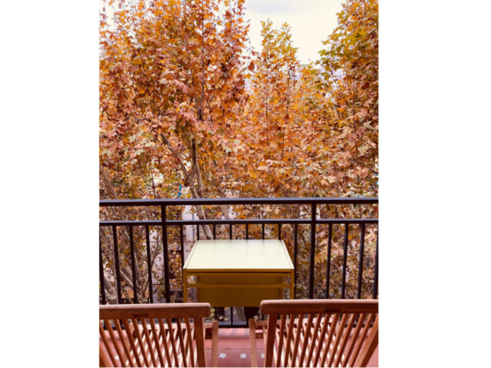 VERY BRIGHT TERRACE IN THE HEART OF MADRID preview
