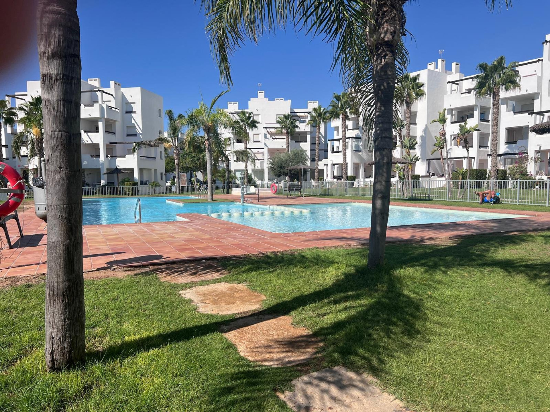 Community pool surrounded by palms