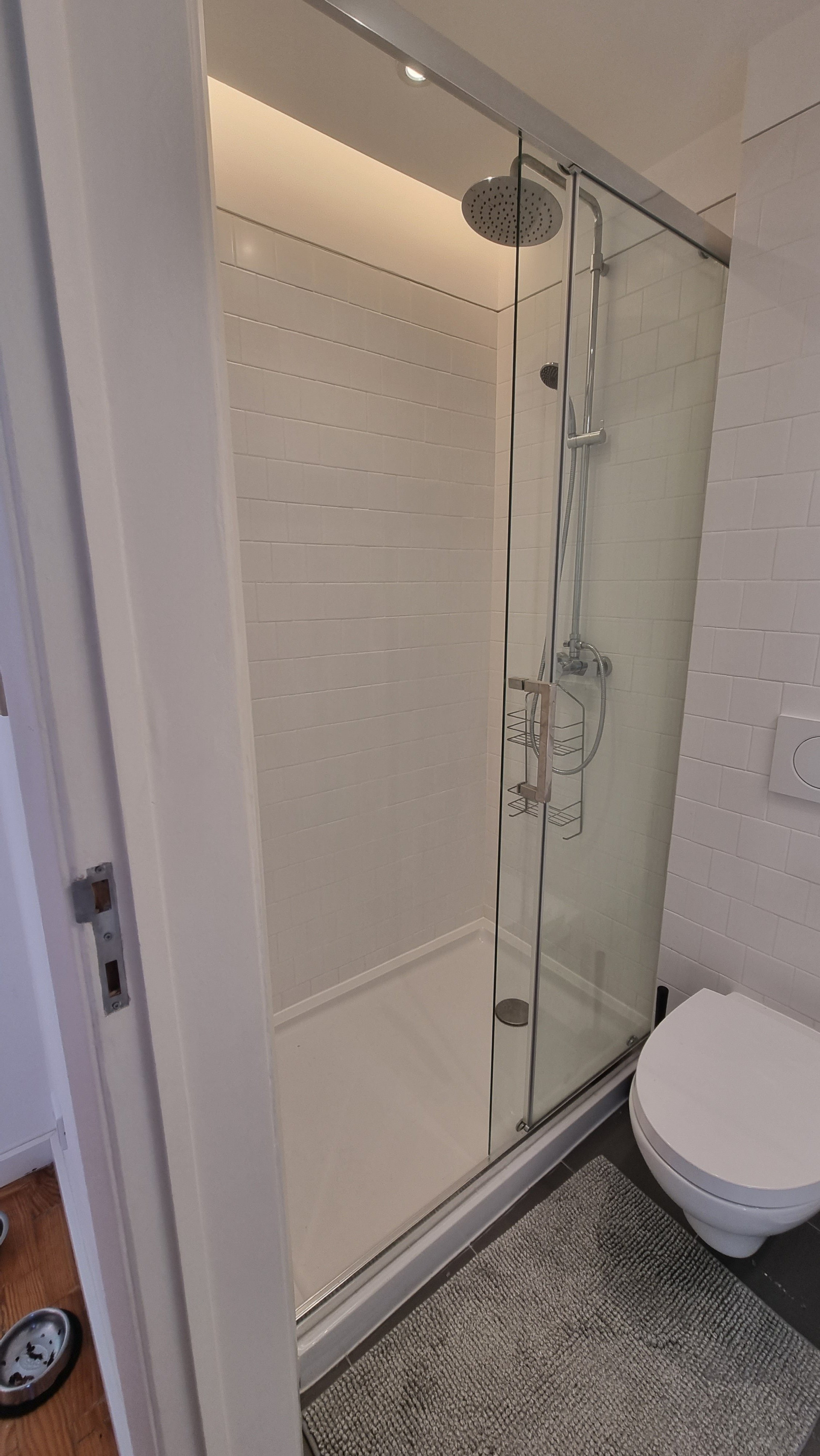 Glass shower and toilet bathroom