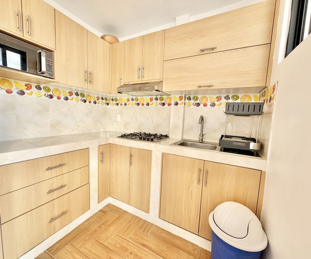 Sky Flat - Two Bedroom Apartment in Jalatlaco