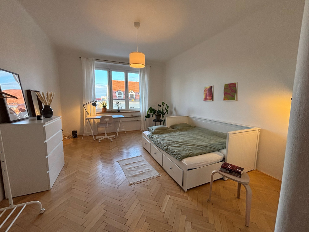 Spacious & quiet room close to the Zizkov TV Tower preview