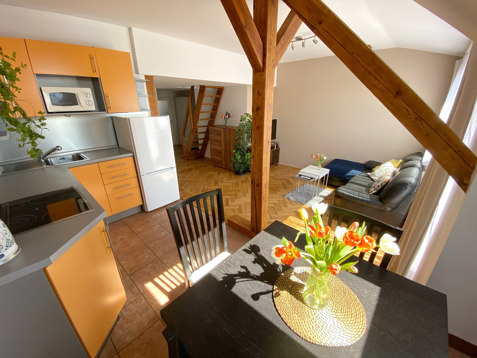 Kitchen corner with living room (Plan 1)