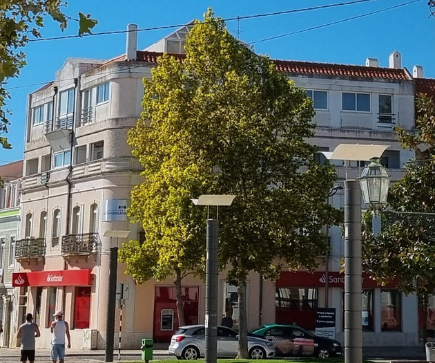 Luminous single bedroom next to Montijo BusStation