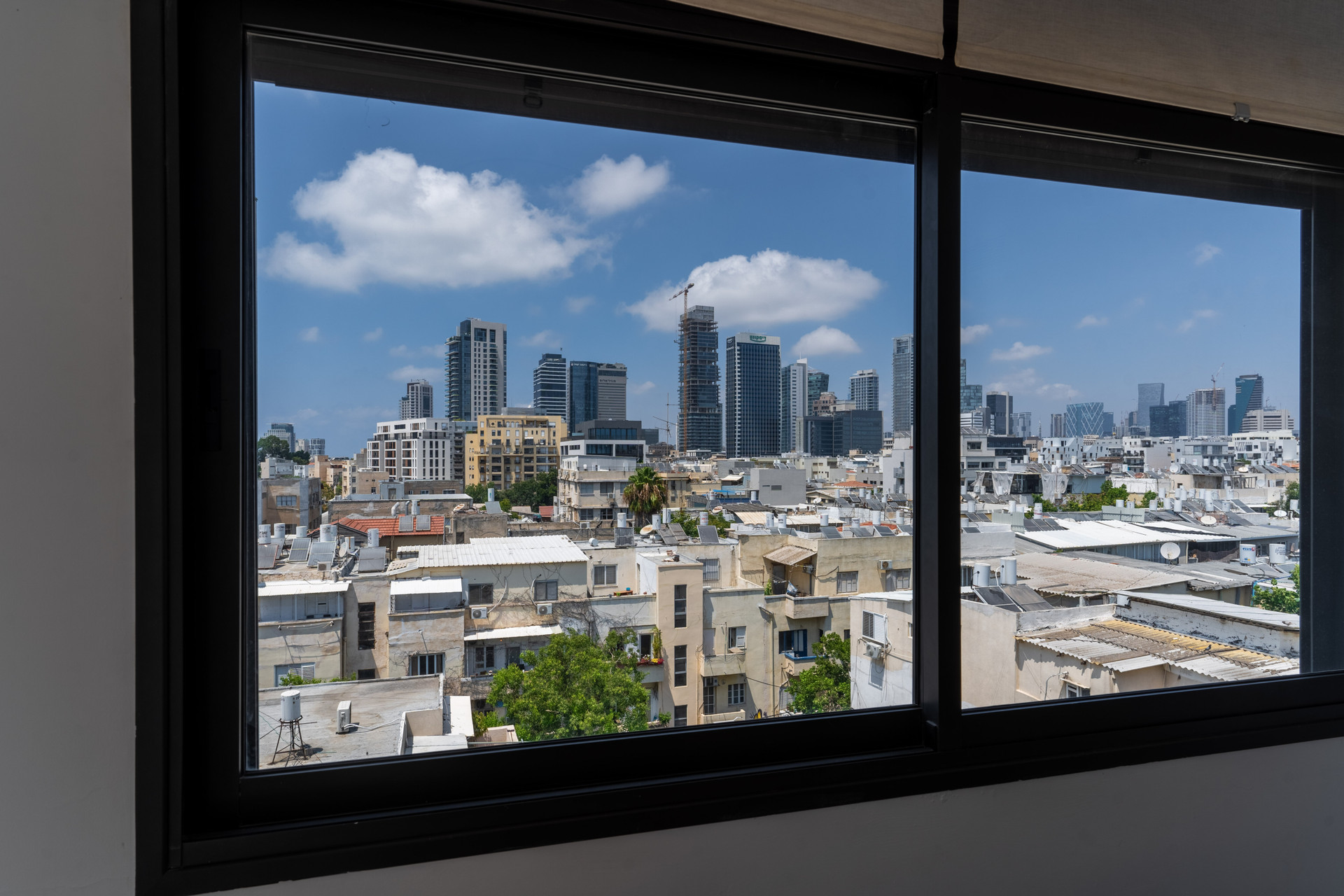 Windows in the Living Room