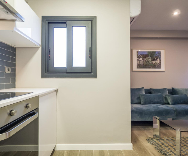 Apartamento de 1hab con espectacular terraza