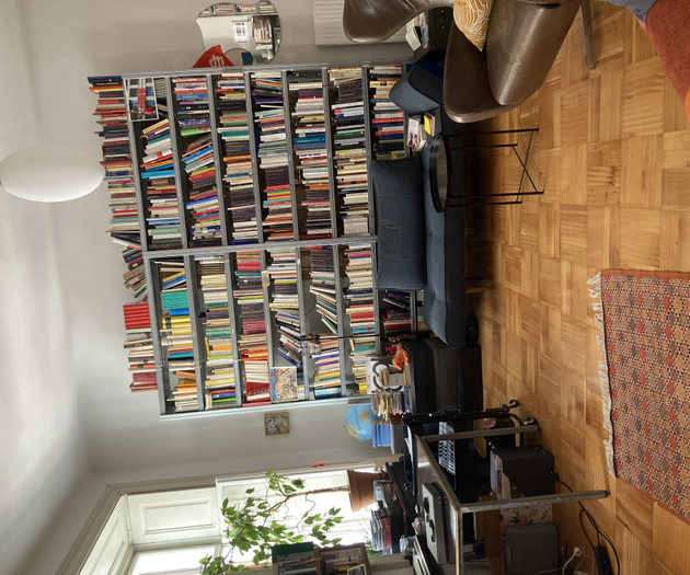 Living room with sofa and shelves