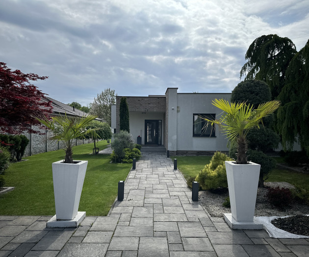 Front entrance walkway with palms