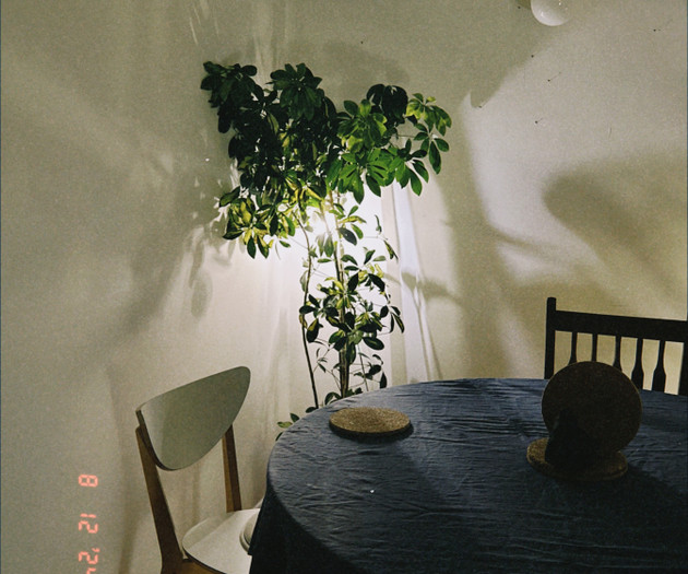 🌿 Bright & Cozy Home — More Than Just a Flat