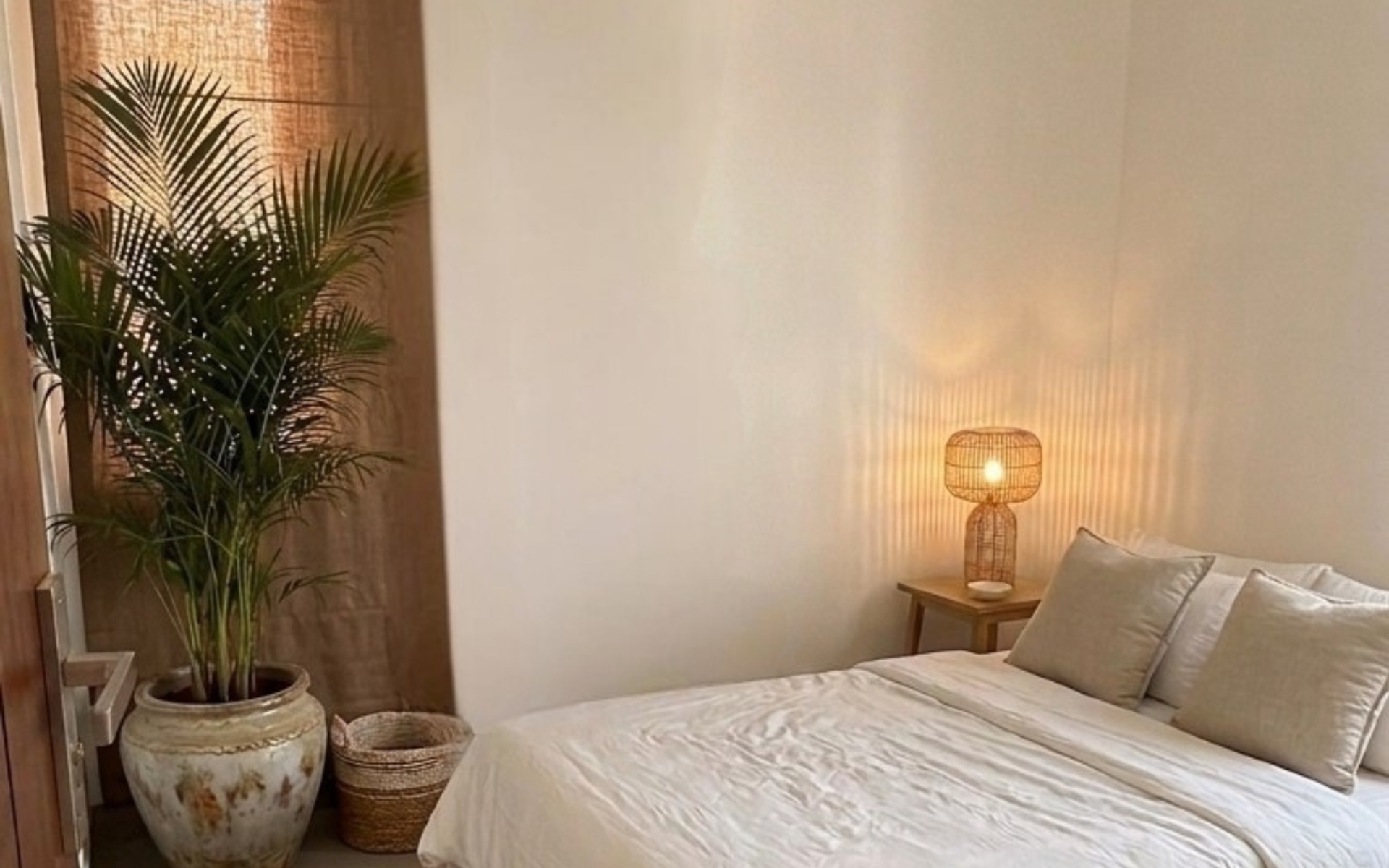 Bedroom corner with plant