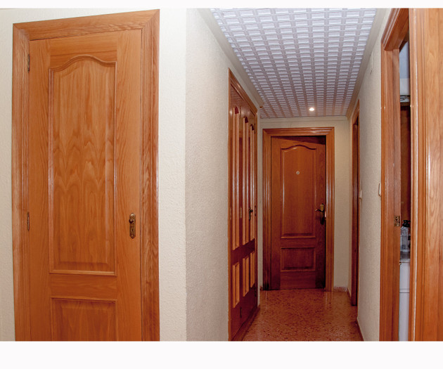 The Big Erasmus Apartment