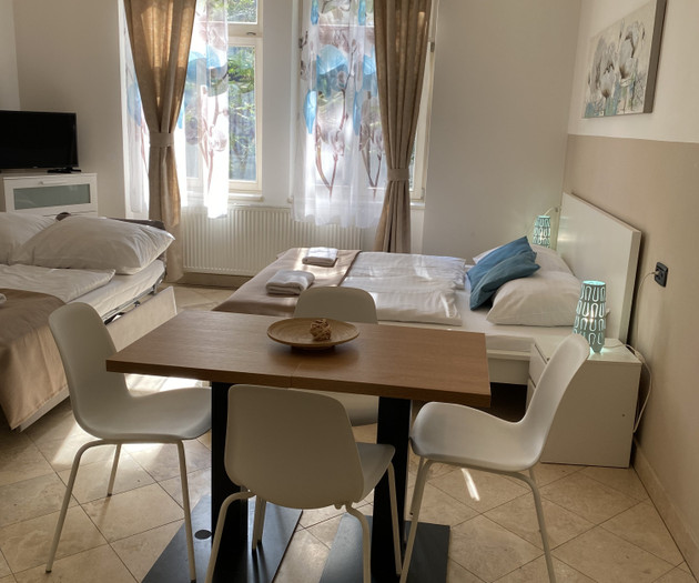 Wohnung 1+kk Nummer 15, Nové Město, Legerova