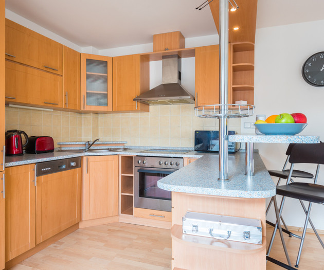 ROOF APARTMENT with TERRACE near WENCESLAS Sq.