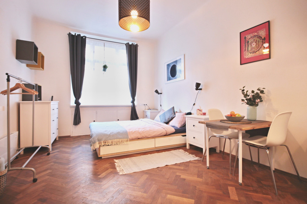 Modern Apartment in Bubeneč Prague 6 preview
