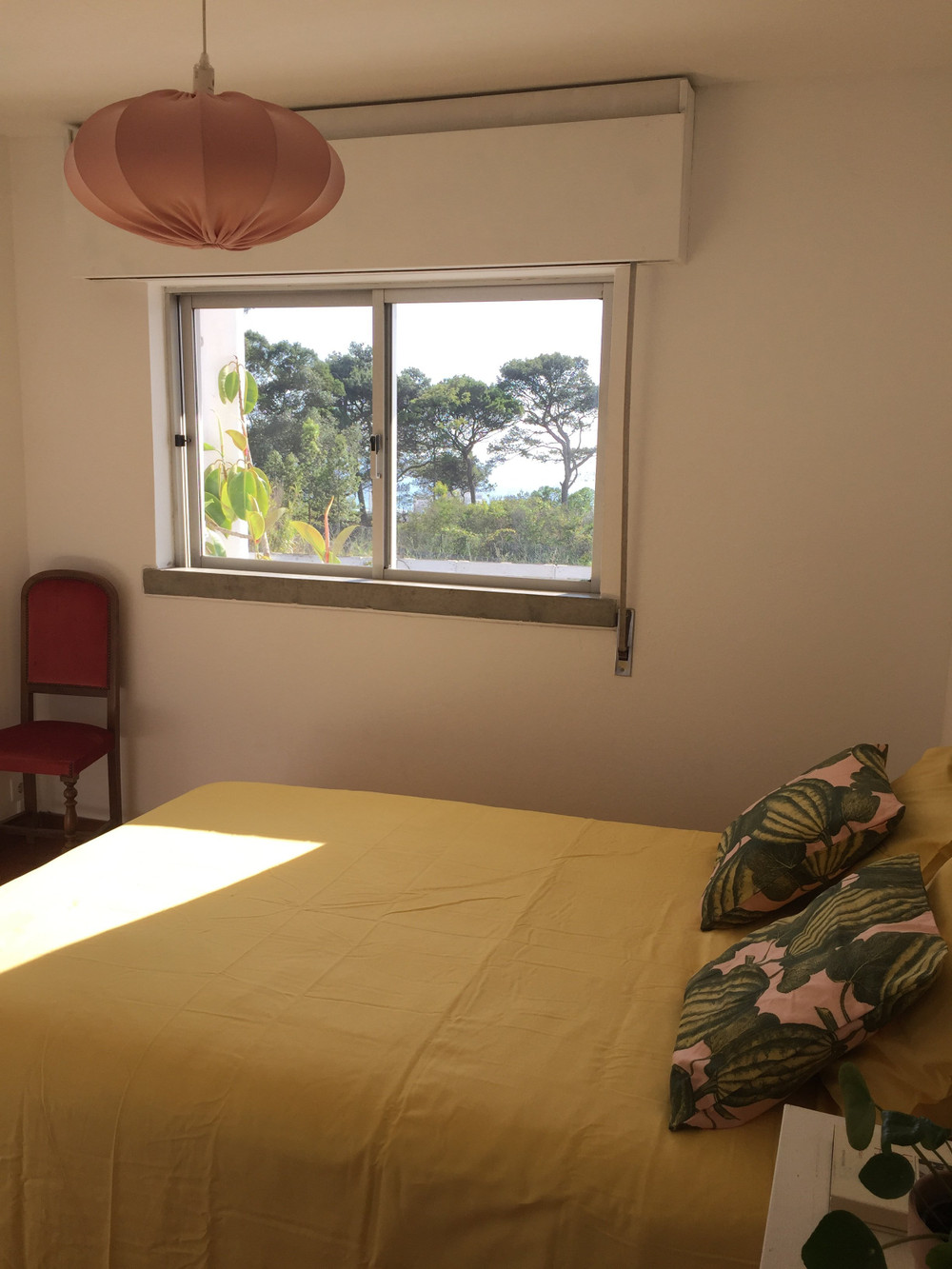 Image #27