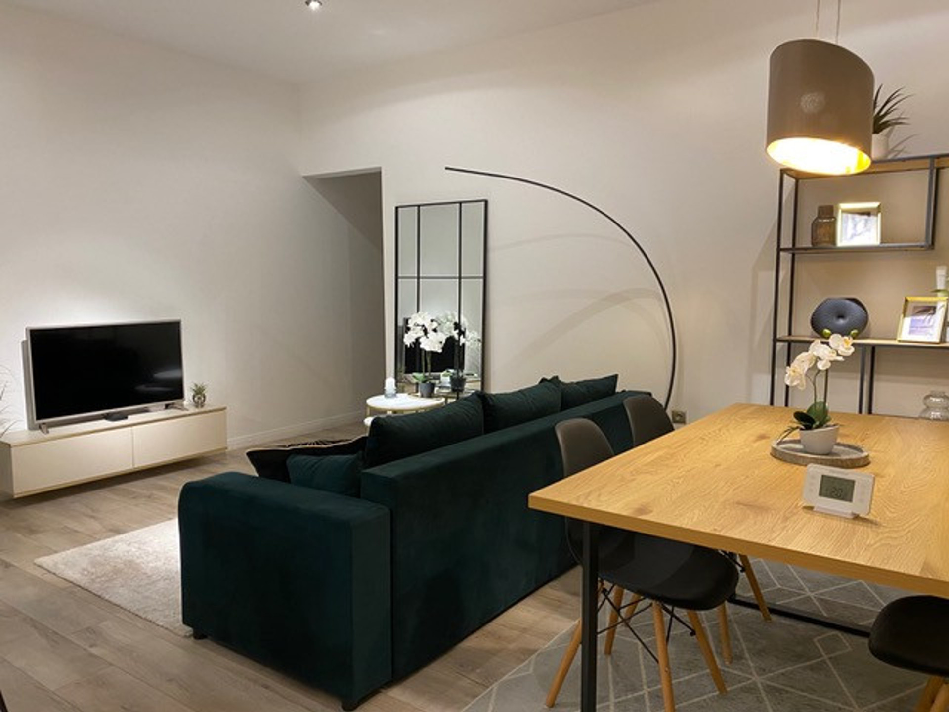 sofa in the dining-living room