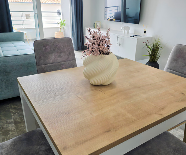 Dining area with TV and sofa
