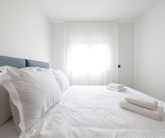 Deluxe apartment VIII